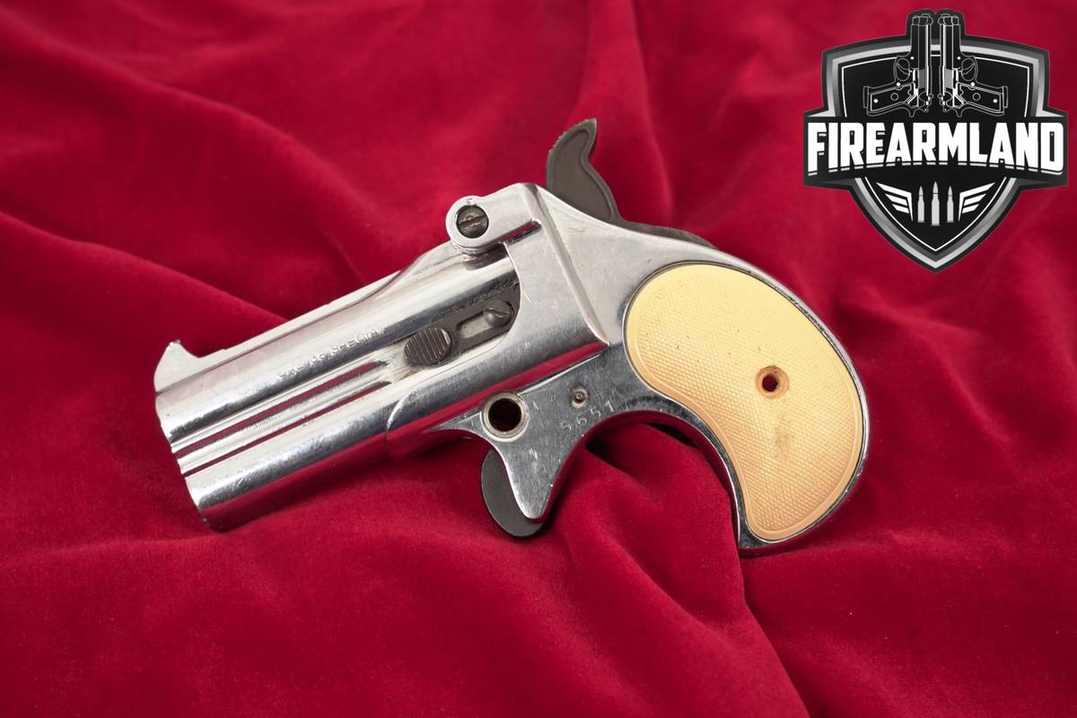 Rohm Mod 17 Mississippi Derringer 38 Special 3" Nickel