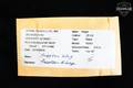 2010 Sturm Ruger Mark III 22/45 Target Model .22 LR Blued in Very Good Condition Image 2
