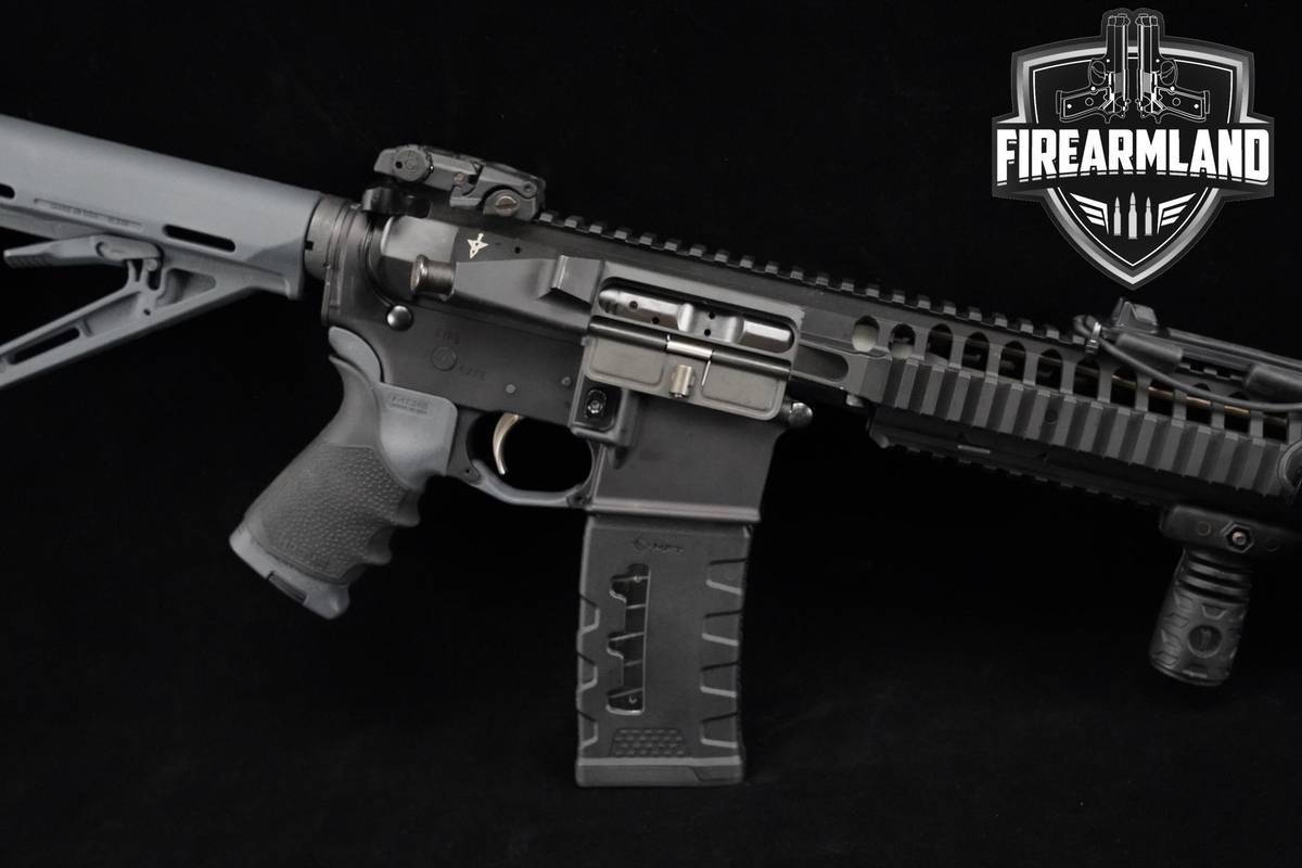 Palmetto State Armory (PSA) PA-15 VLTOR VIS-2A 5.56 NATO 16" PSA-PA-15 MAGS