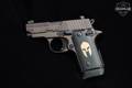 2015 Sig Sauer P238 Spartan .380 ACP Bronze in Like-New Condition Image 3