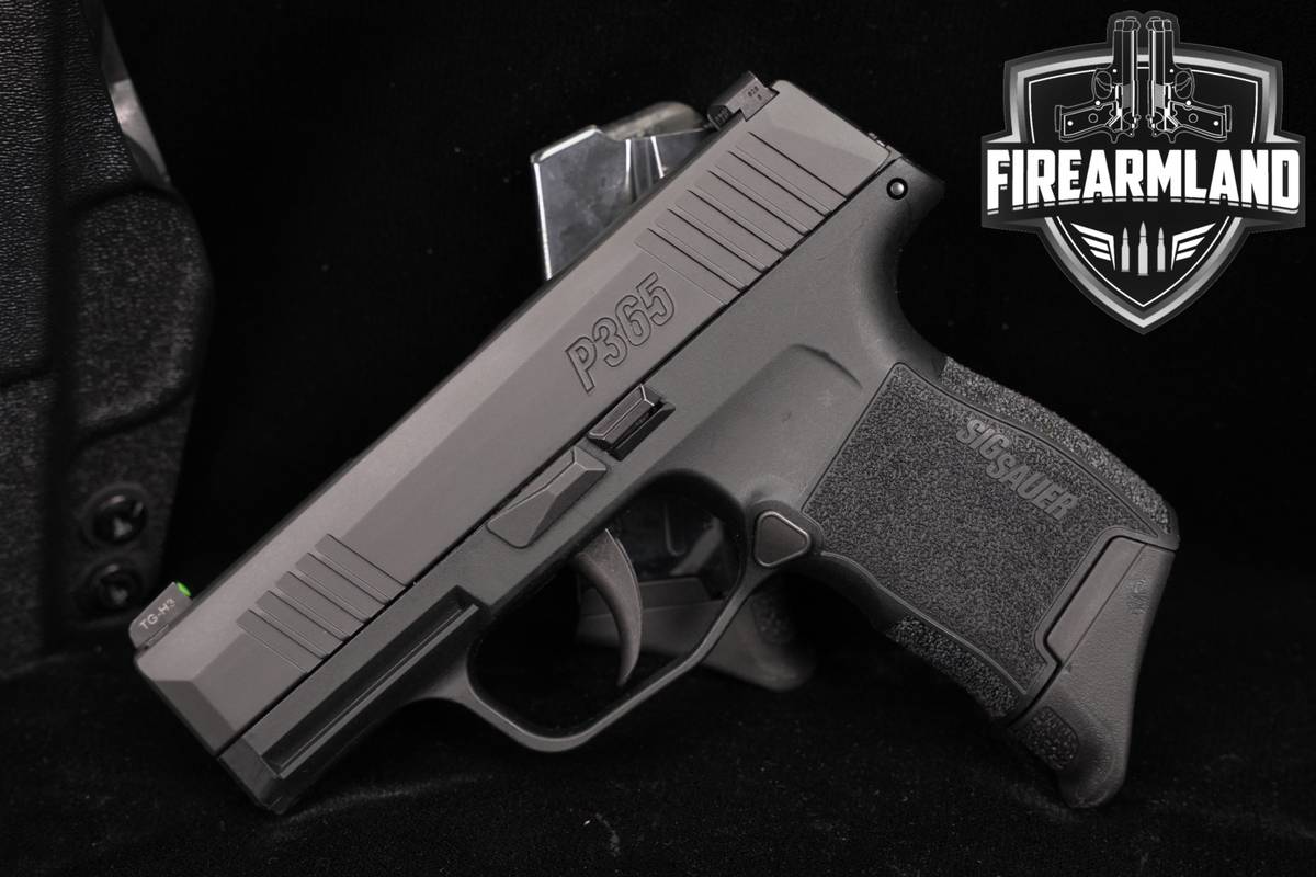 Sig Sauer P365 9mm 3.1" Stainless & Synthetic P 365 +2 MAGS & HOLSTER