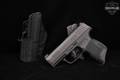 Sig Sauer P365 9mm Luger Stainless & Synthetic in Very Good Condition Image 2