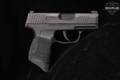 Sig Sauer P365 9mm Luger Stainless & Synthetic in Very Good Condition Image 4