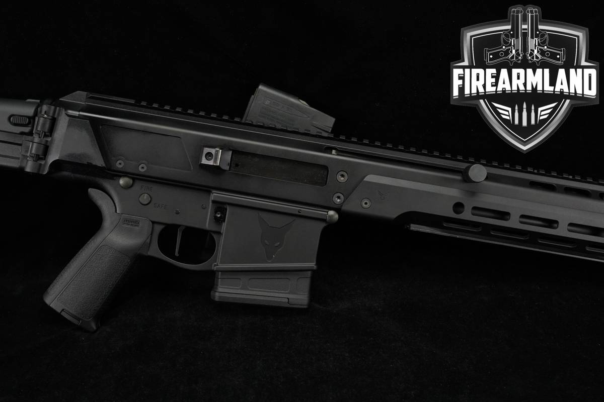 Palmetto State Armory PSA JAKL-10 308 WinAR10 16.5 P&W JAKL10 +2 MAGS