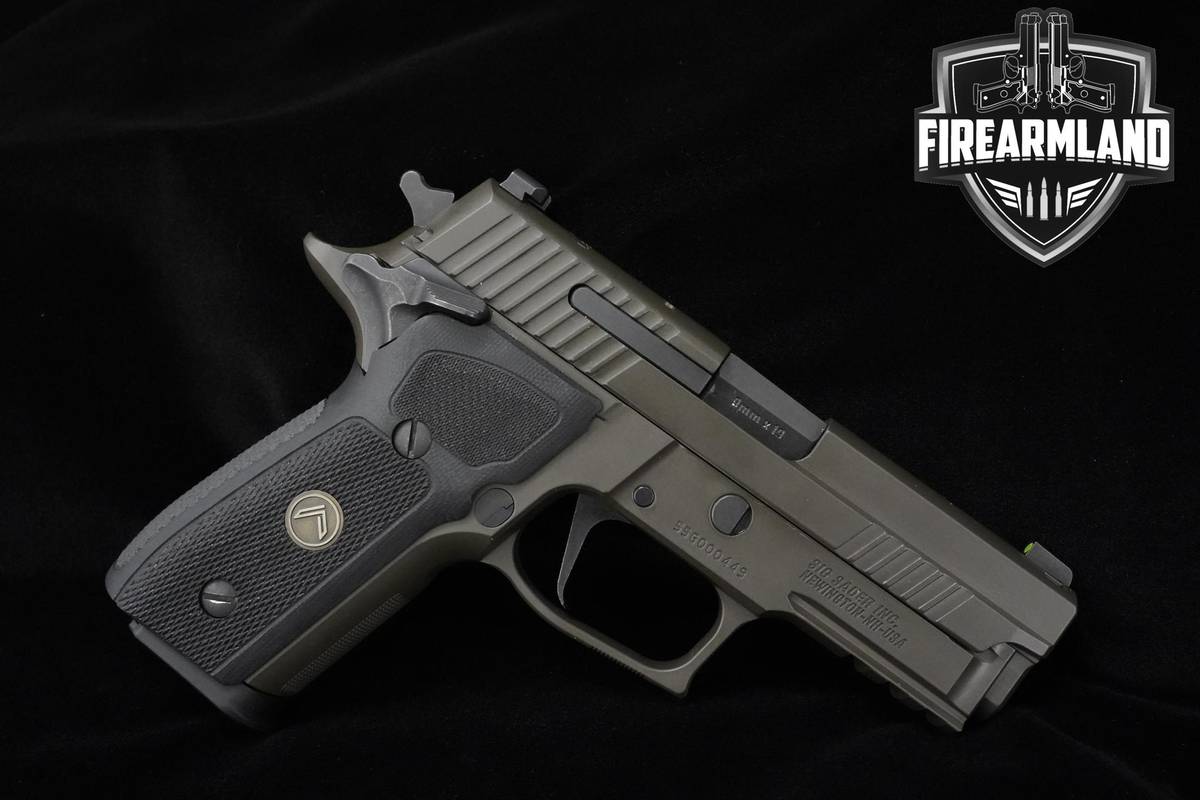 Sig Sauer P229 Legion SAO 9mm Legion Gray Sig-Sauer P229 3 MAGS & ORIG CASE