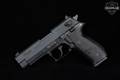 Sig Sauer Mosquito .22 LR Black in Good Condition Image 2