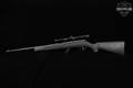 Savage Arms Mark II FSS .22 LR Stainless & Synthetic in Very Good Condition Image 2