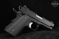 Dan Wesson ECO .45 ACP Black in Very Good Condition Image 3