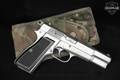 FEG Mod. PJK-9HP 9mm Luger Silver in Fair Condition Image 2