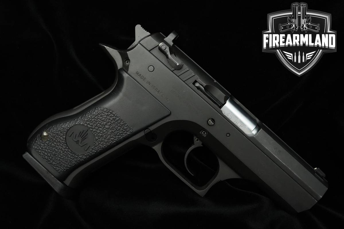 IWI Desert Eagle 45 ACP 3.75" Desert IWI Eagle Baby Eagle +2 MAGS & HOLSTER