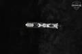 L.W. Seecamp (LW Seecamp) Model LWS-25 .25 ACP (6.35mm) Silver in Very Good Condition Image 5