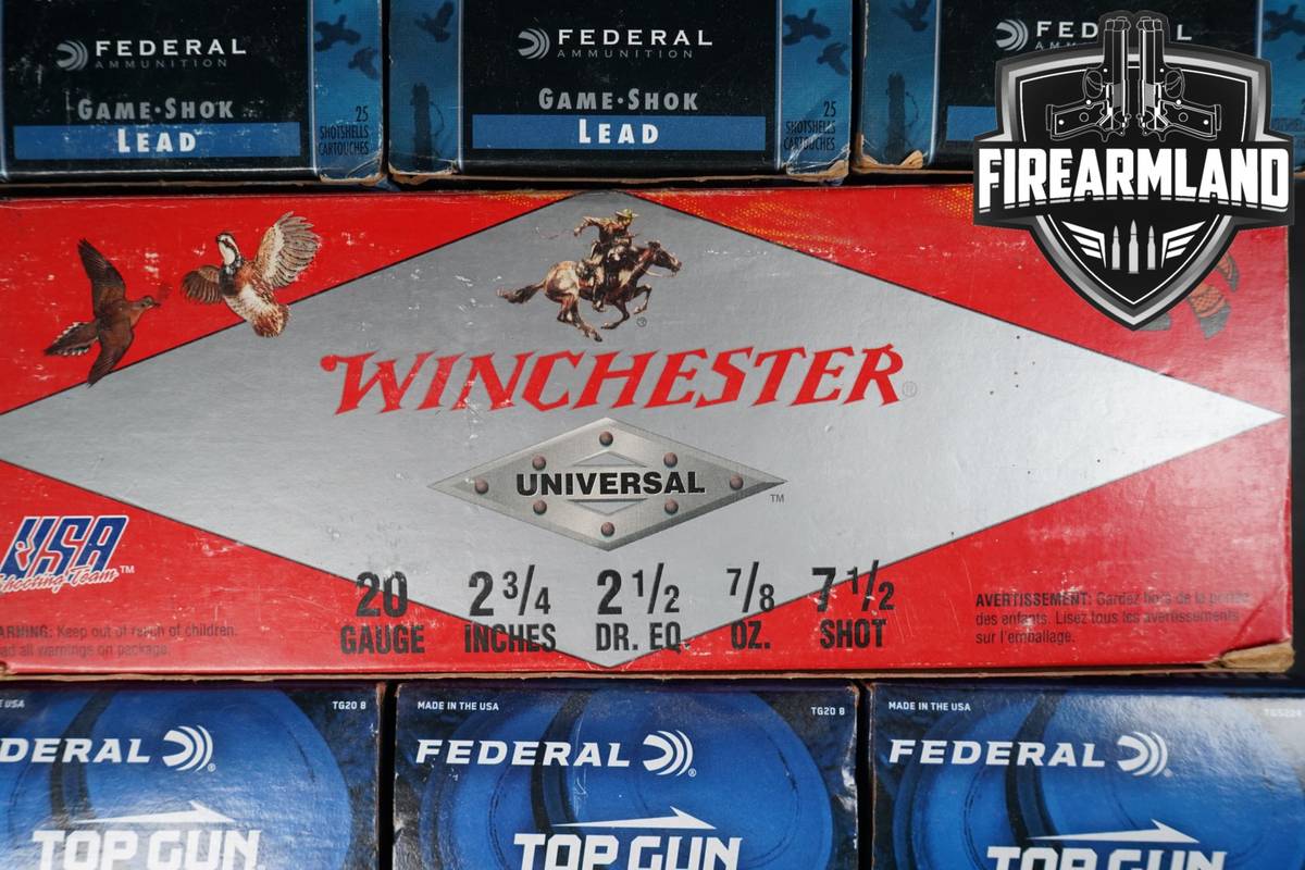 Multiple Manufacturers 20 Gauge in New - Old Stock Condition