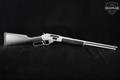 Henry Repeating Arms H009GAW All-Weather .30-30 Matte Chrome in Excellent Condition Image 3