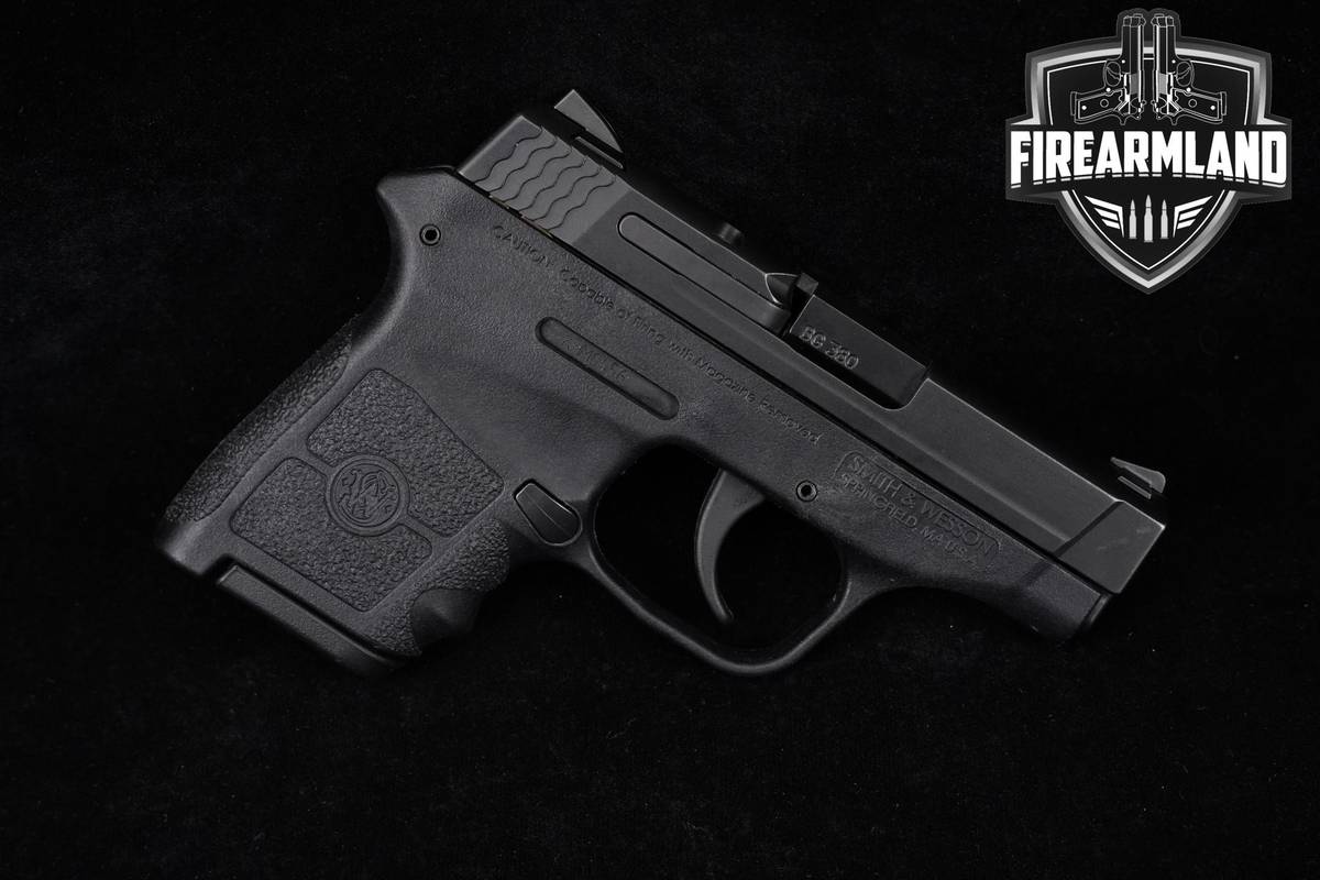 Smith & Wesson S&W M&P Bodyguard 380 380ACP 2.75" 2MAGS