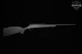 New England Firearms (NEF) Sporter .17 HM2 Blued in Good Condition Image 2
