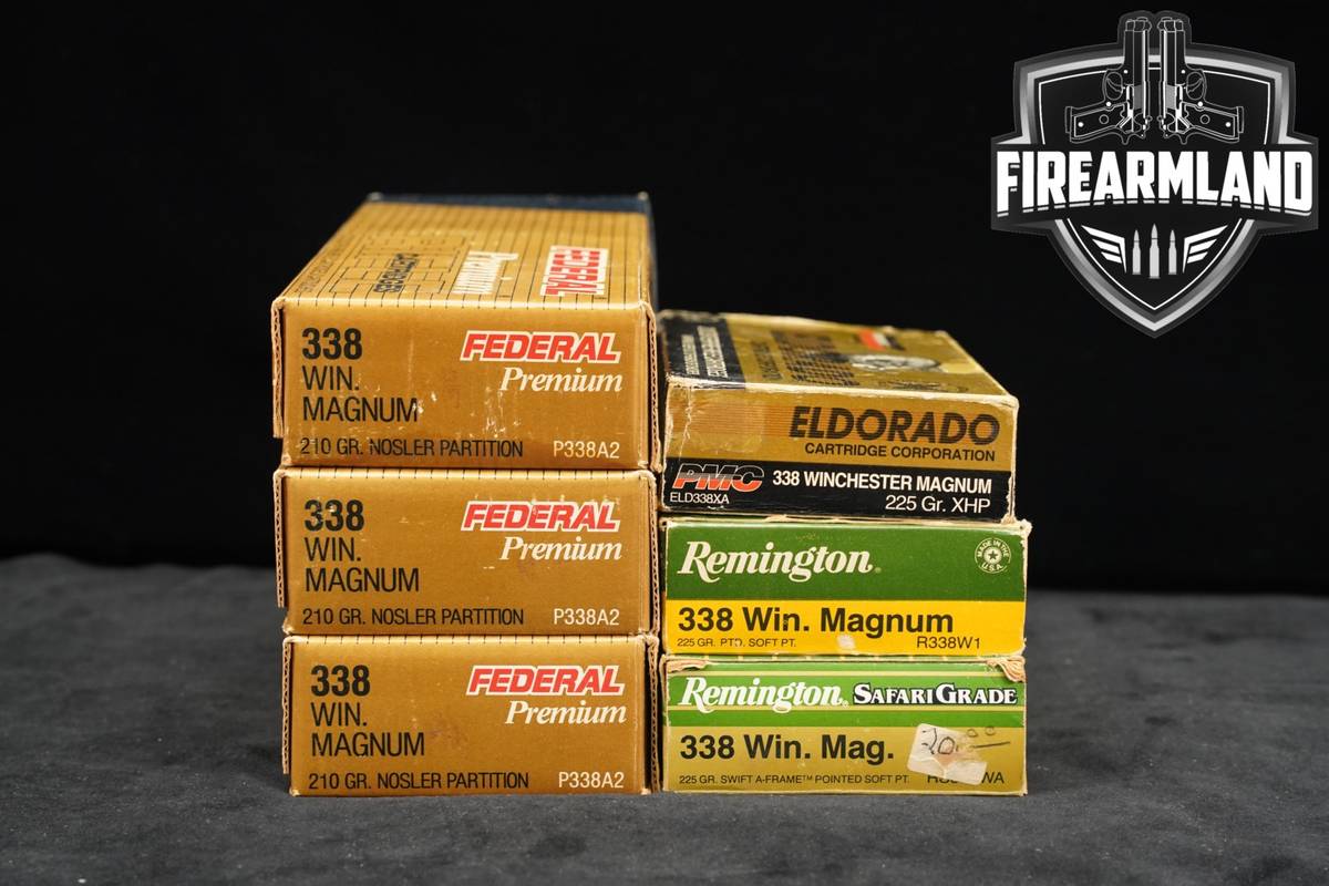 120 RDS! 338 Win Magnum Ammo Mag Ammunition