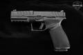 Springfield Armory Echelon 9mm Luger Melonite in Excellent Condition Image 5