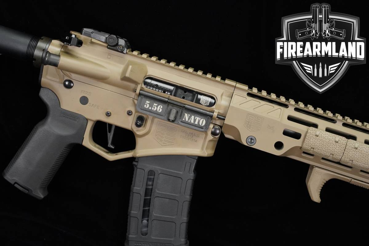 Diamondback DB15 5.56 NATO AR-15 AR15 16" FDE +2 MAGS & ORIG CASE