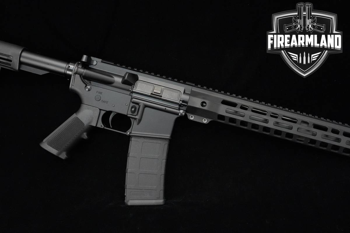 Palmetto State Armory (PSA) PA 15 Blem AR-15 AR15 AR 16" PSA-PA PA-15 2MAGS