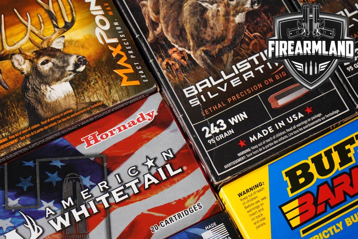 120 RDS! 243 Win Ammo 243WIN Ammunition