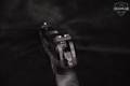 2013 Sturm Ruger SR22 .22 LR Black in Very Good Condition Image 5