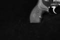 Cobra Firearms Shadow .38 Special +P Two-Tone in Very Good Condition Image 4
