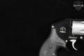 Cobra Firearms Shadow .38 Special +P Two-Tone in Very Good Condition Image 5