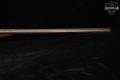Springfield Arms Company 0 12 Gauge Blued & Wood in Fair Condition Image 5