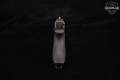 Glock 42 .380 ACP Black in Very Good Condition Image 4