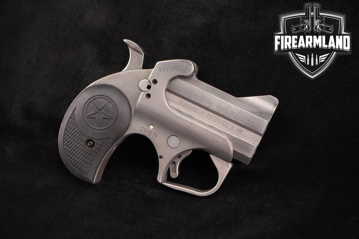 Bond Arms Roughneck 9mm 2.5" Stainless 2-Shot Derringer