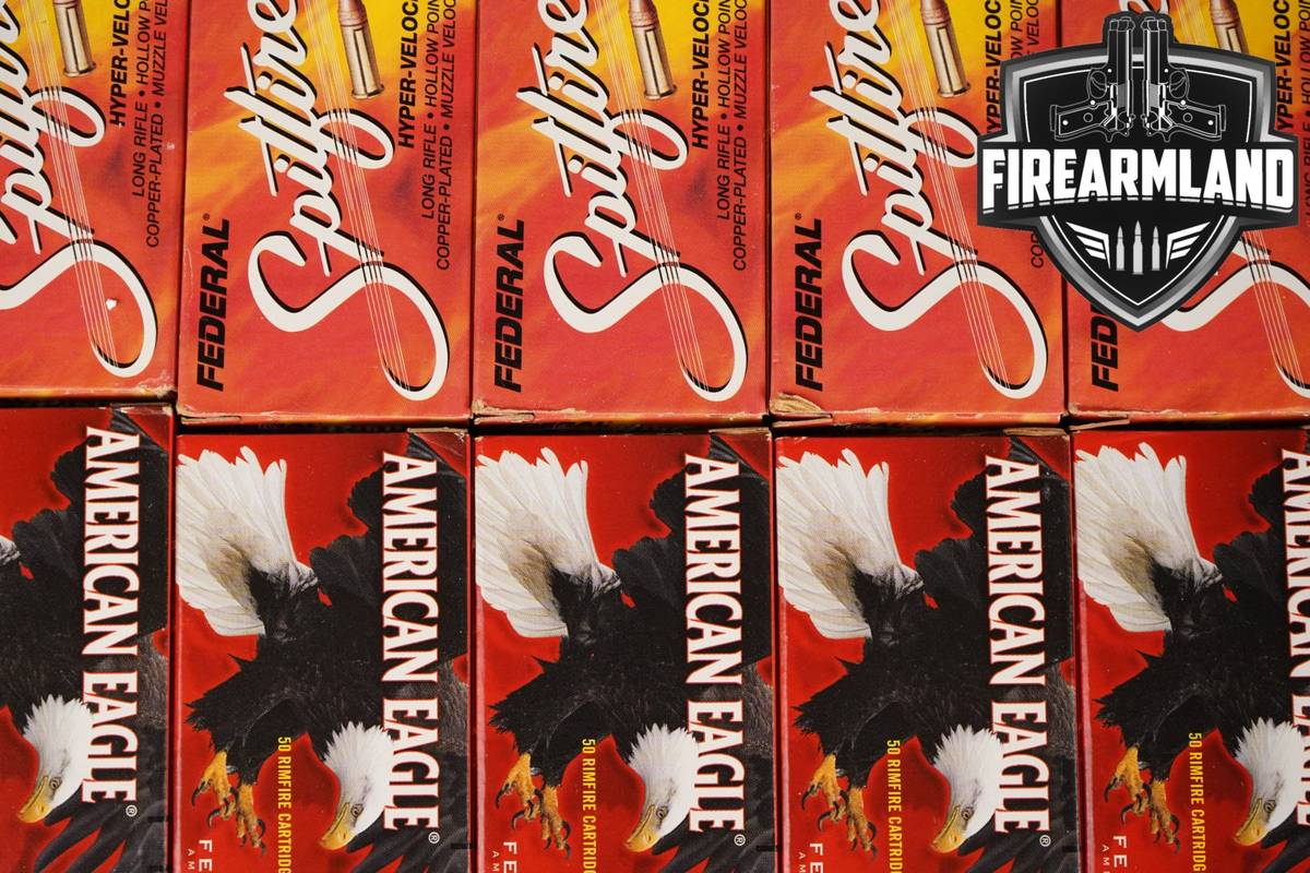 2080 RDS! 22LR Ammo 22 LR Ammunition