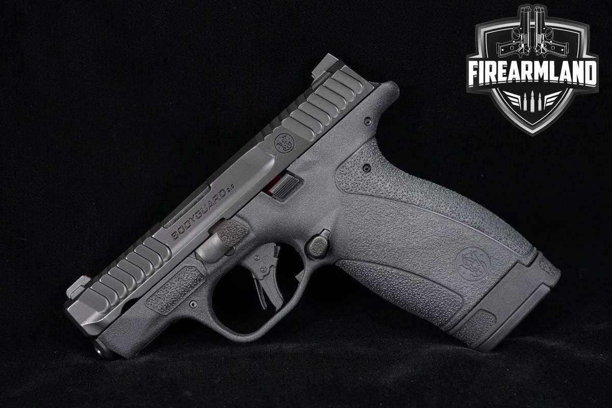 MICRO-COMPACT Smith & Wesson S&W Bodyguard 2.0 NTS 380 ACP 2.75" +2 MAGS