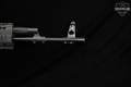 Izhmash Saiga 7.62x39 Black in Very Good Condition Image 5
