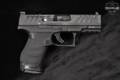 Walther PDP Compact 4" Optics Ready, 10-Round 9mm Luger Black in Very Good Condition Image 4