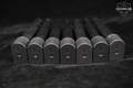Sig Sauer SEVEN (7) P365X/XL 15 Round Magazines 9mm Luger in Very Good Condition Image 4