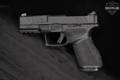 Springfield Armory Echelon 4.0C Compact, U-Dot 9mm Luger Black in Excellent Condition Image 3