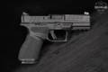Springfield Armory Echelon 4.0C Compact, U-Dot 9mm Luger Black in Excellent Condition Image 4
