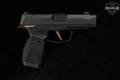 Sig Sauer P365-XL Comp ROSE Custom Works 9mm Luger Black in Very Good Condition Image 3