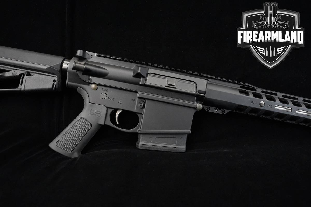 Palmetto State Armory (PSA) G3-10 7.62 NATO AR-10 AR10 AR PSA-G3-10 +4 MAGS