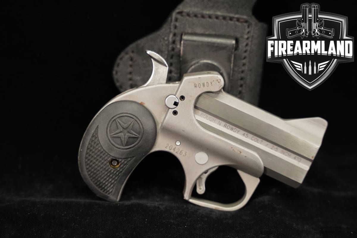 Bond Arms Rough N Rowdy 45 LC/410 3" Matte Stainless +HOLSTER