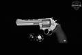 Taurus Model 44 .44 Mag. Matte Stainless in Good Condition Image 2