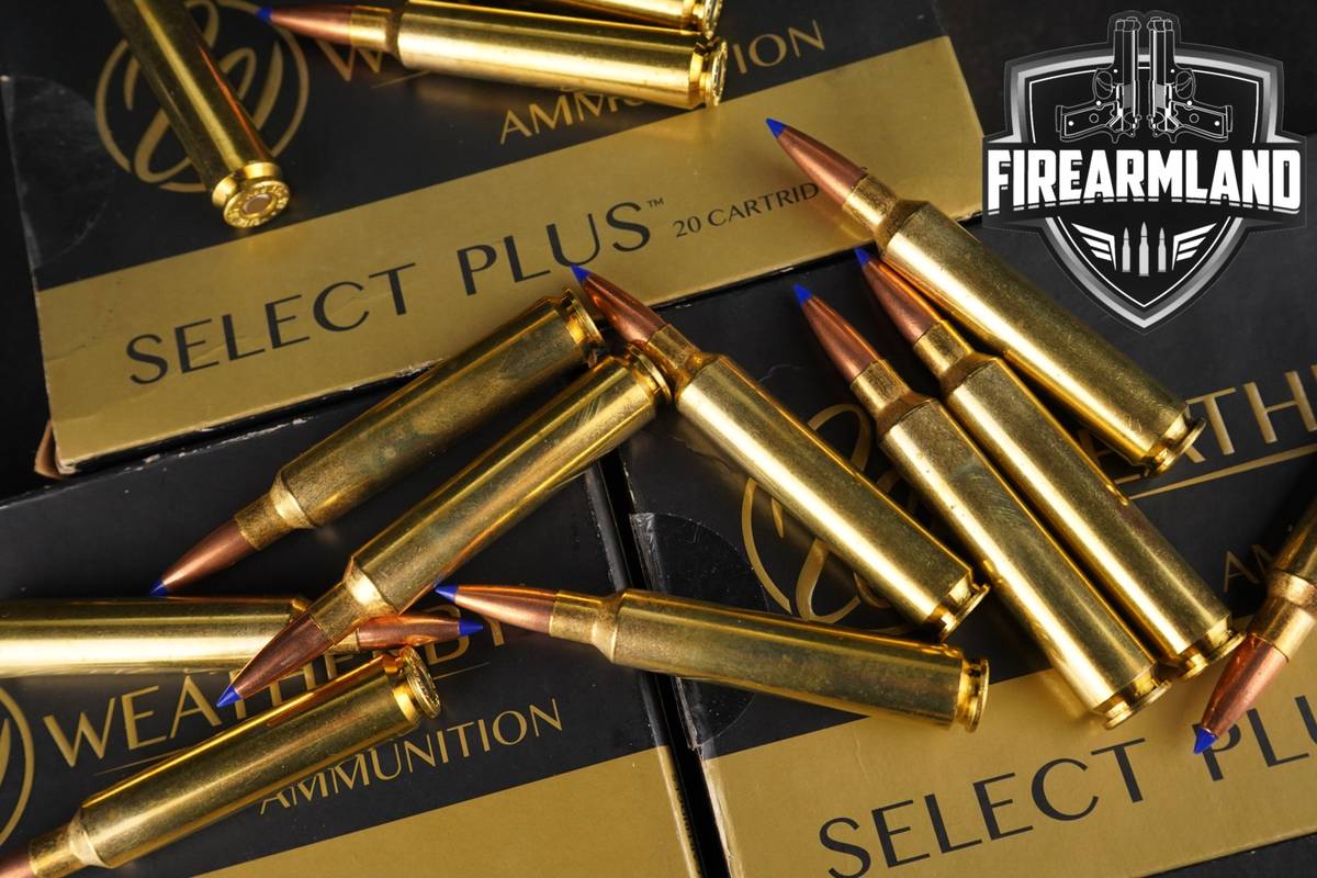 60 RDS! 6.5 WBY RPM Ammo Ammunition