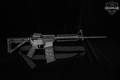 Tactical Weapons Solutions TWS-15 5.56mm NATO Black in Very Good Condition Image 4
