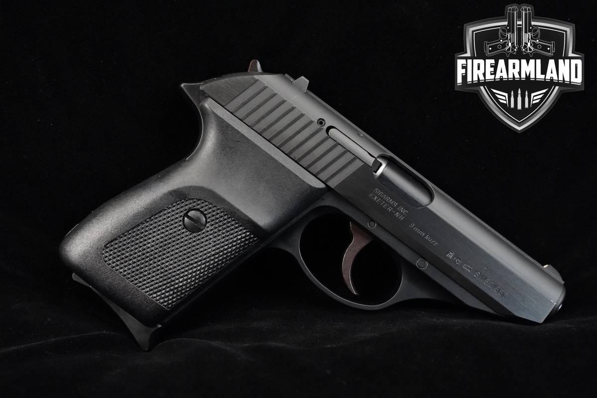Sig Sauer P230 380 ACP 3.6" Blued Sig-Sauer P230 P-230 +2 MAGS & ORIG CASE