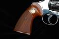 1979 Colt Python .357 Mag. Nickel Plating in Very Good Condition Image 3
