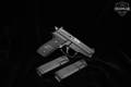 Sig Sauer P229 Stainless .40 S&W Black in Good Condition Image 2
