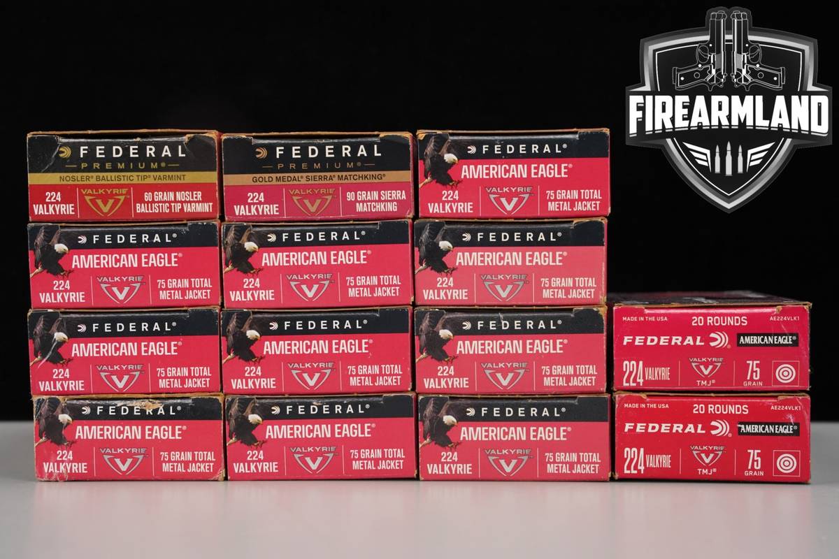280 RDS! 224 Valkyrie Ammo