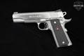 Colt Delta Elite Series 80 10mm Stainless in Excellent Condition Image 4