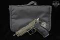 German Sport Guns (GSG) Firefly .22 LR Two-Tone in Very Good Condition Image 2