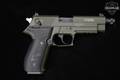 German Sport Guns (GSG) Firefly .22 LR Two-Tone in Very Good Condition Image 3